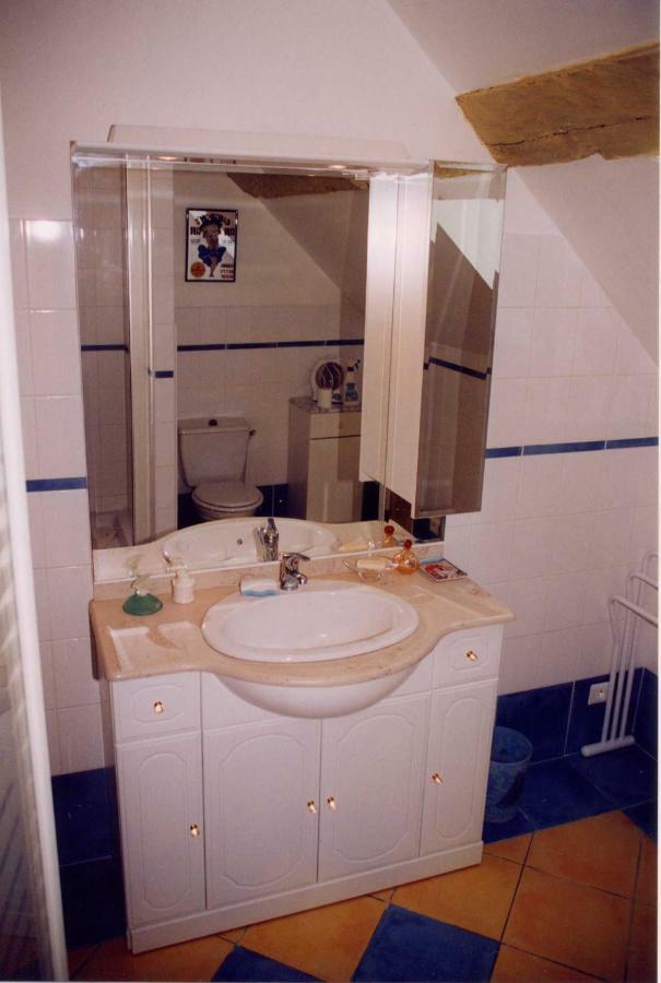 Gite Les Roseaux 123 Sologne Lassay-sur-Croisne Ngoại thất bức ảnh